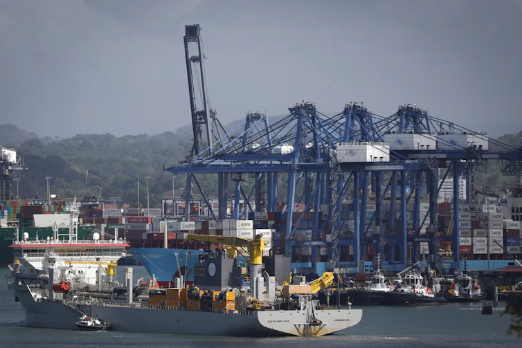 View of a cargo ship in the Panama Canal in Panama City, Panama, 24 January 2025