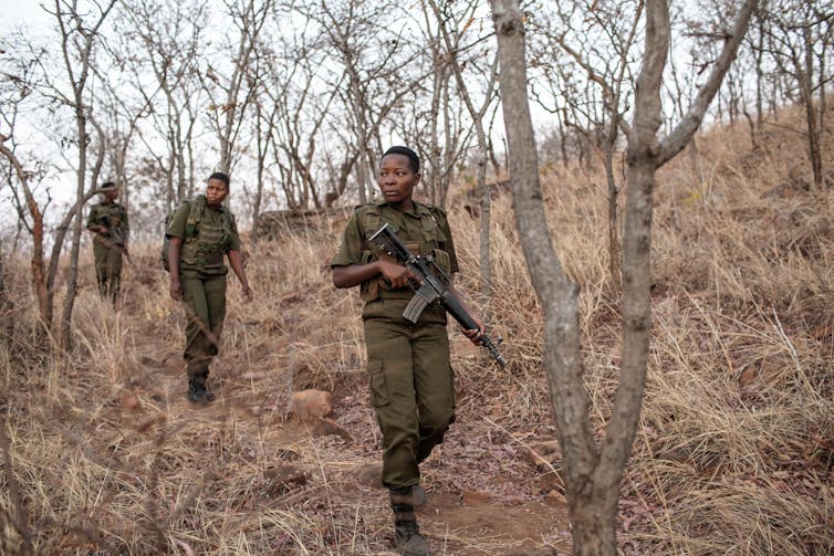 People in camouflage clothing hold rifles while walking through a group of trees.