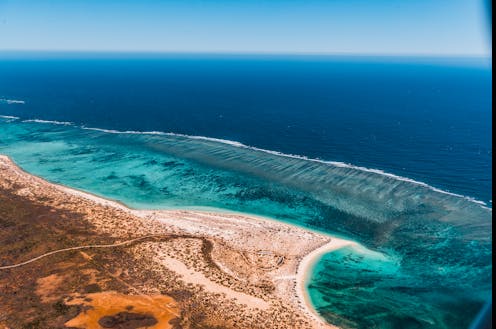 Ningaloo and the Great Barrier Reef are bleaching in unison for the first time