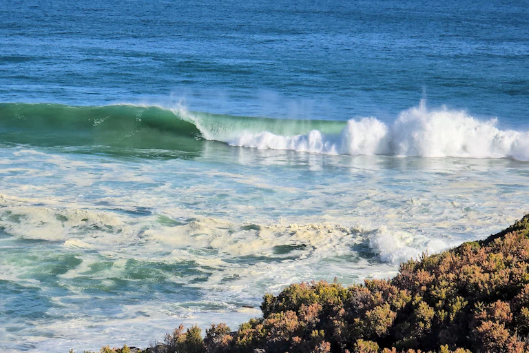 A greenish coloured wave breaks close to the shore, with sea foam visible on the surface