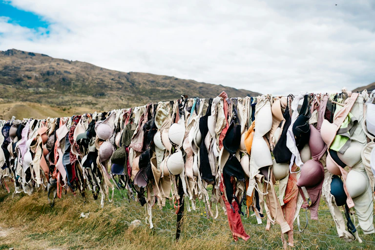Bras hung along a wire in New Zealand.