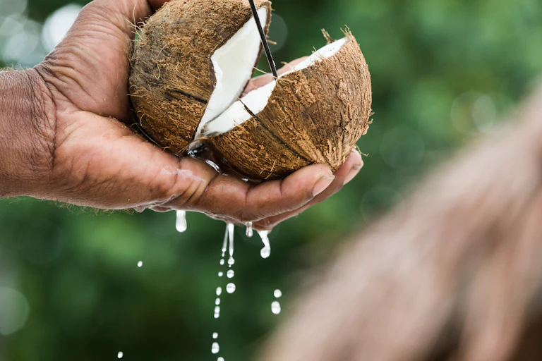 Hand holding a rough-skinned brown sphere that's cut in half to show the white interior. Liquid is dripping out.