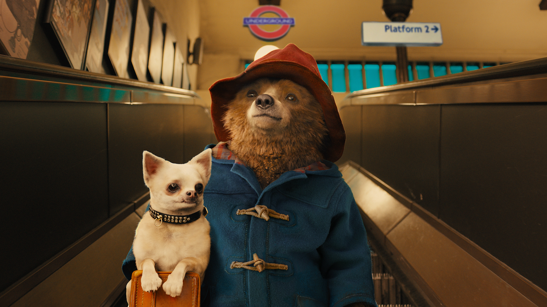 Paddington sex scandal the bear would bore if he didnt break some rules picture