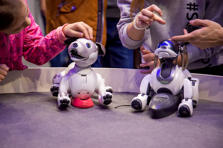 People play with two robotic dogs.