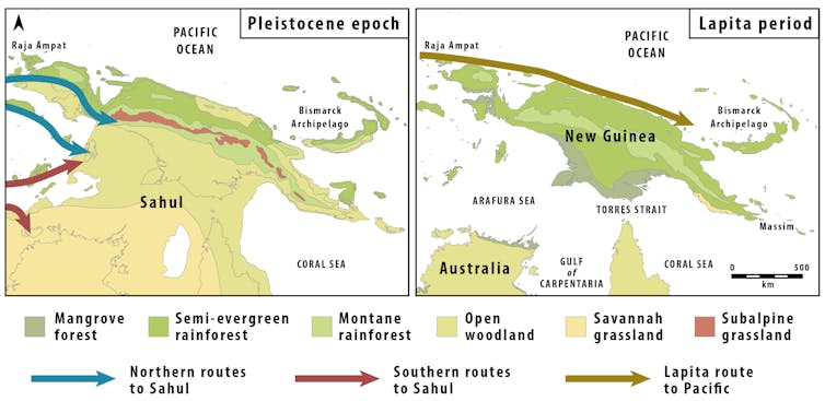 Maps showing human dispersal to West Papua during the Pleistocene epoch, about 50,000 years ago, and during the Lapita period, more than 3,000 years ago.