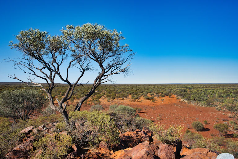 outback australia landscape.