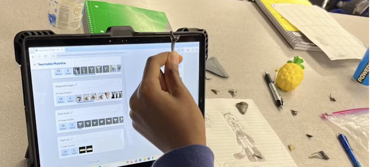 Shark AI uses fossil shark teeth to get middle school kids interested in paleontology and computer vision – Environmental News Bits Shark AI uses fossil shark teeth to get middle school kids interested in paleontology and computer vision – Environmental News Bits