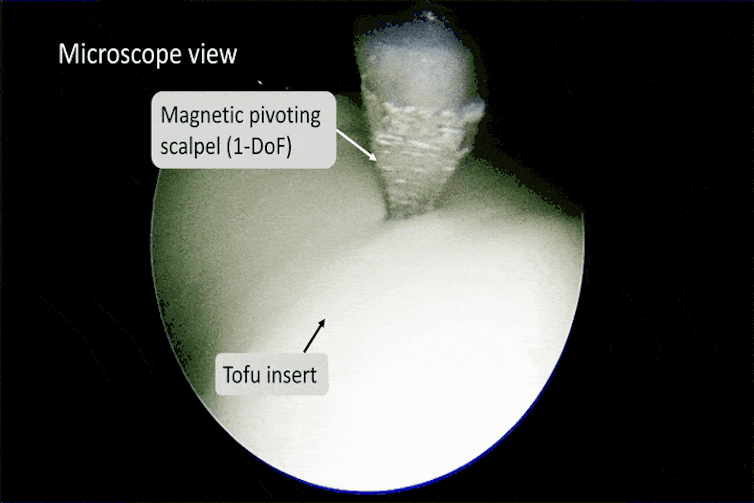 Microscope video showing a tiny scalpel slicing some tofu.