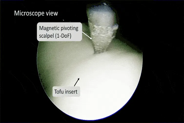 Microscope video showing a tiny scalpel slicing some tofu.