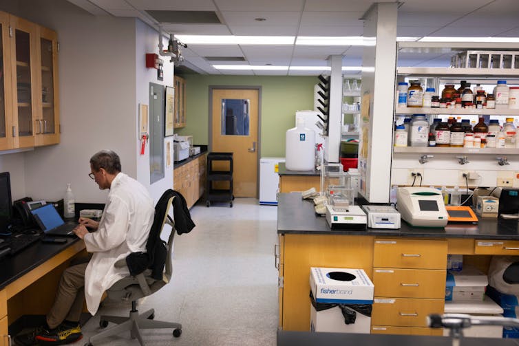 Person in white coat sitting at desk with laptop in a lab, with shelves of labeled bottles and other research instruments