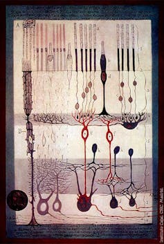 A sketch of several connected lines and circles.