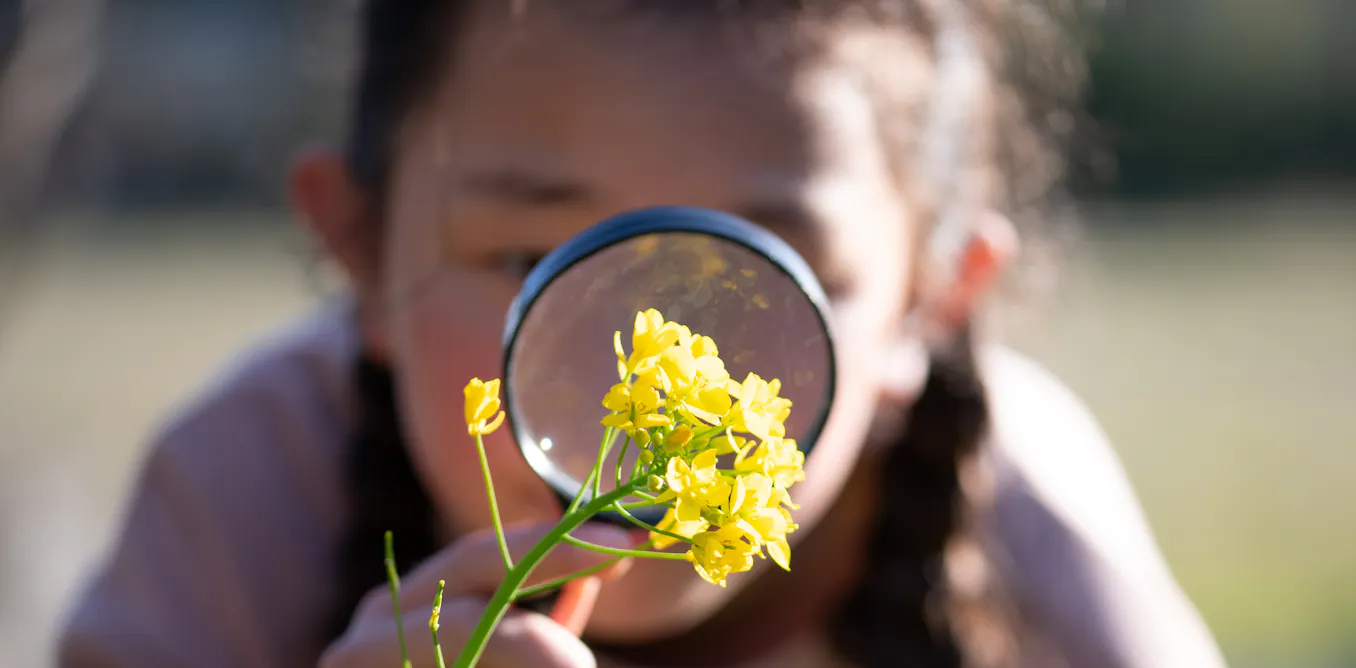 ‘Curiosity-driven research’ led to a recent major medical breakthrough. But it’s under threat ‘Curiosity-driven research’ led to a recent major medical breakthrough. But it’s under threat