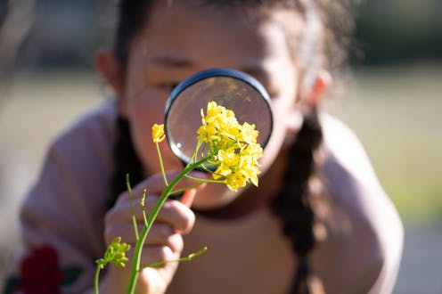 ‘Curiosity-driven research’ led to a recent major medical breakthrough. But it’s under threat