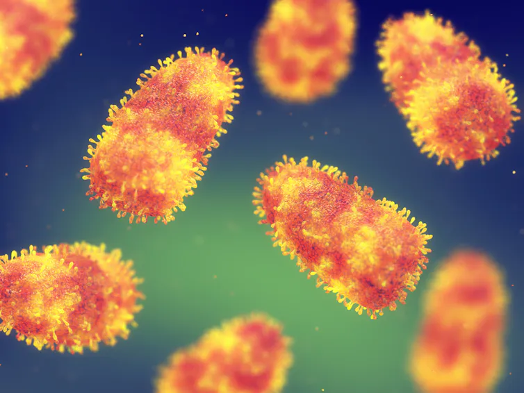 Illustration of rabies virus