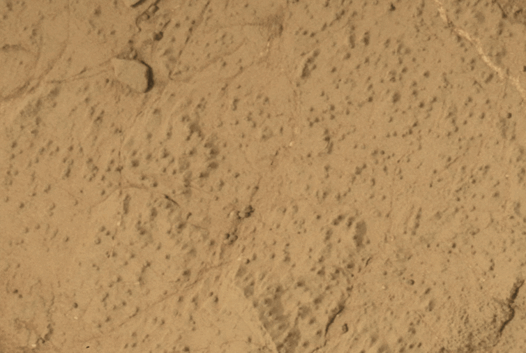 Sensational discovery of NASA CURNOSOSOSOSOSOSE ROVER on MARS: COMPONENTS Fatty acids within the Broja Gale 1 file 20250326 62 5k5a6w.gif?ixlib=rb 4.1