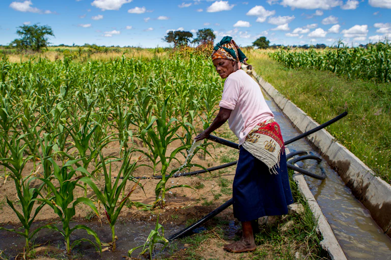A woman watering her farm