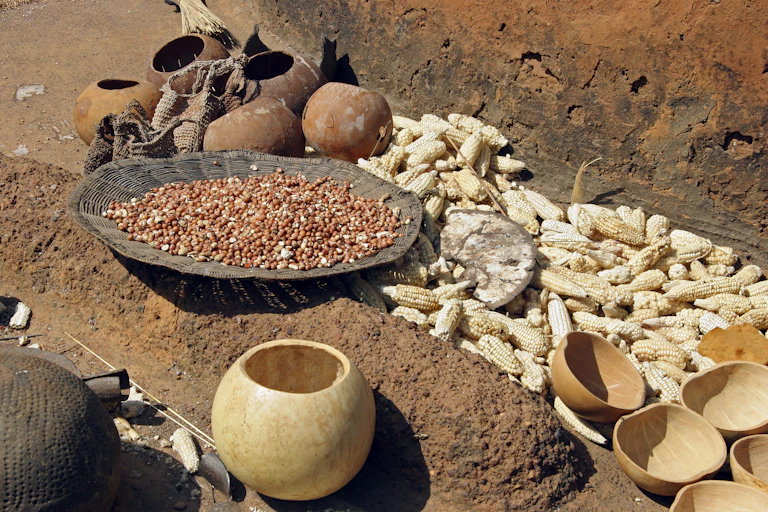 Maize cobs on the ground, as well as calabashes and grains in a basket