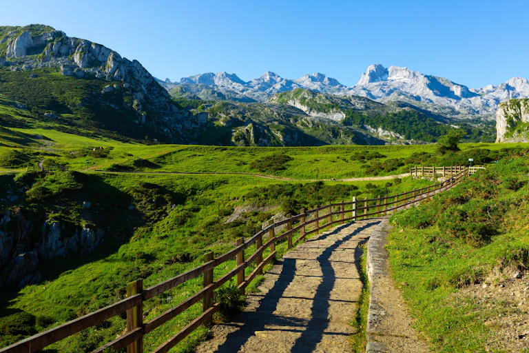 Paisaje verde con montañas.
