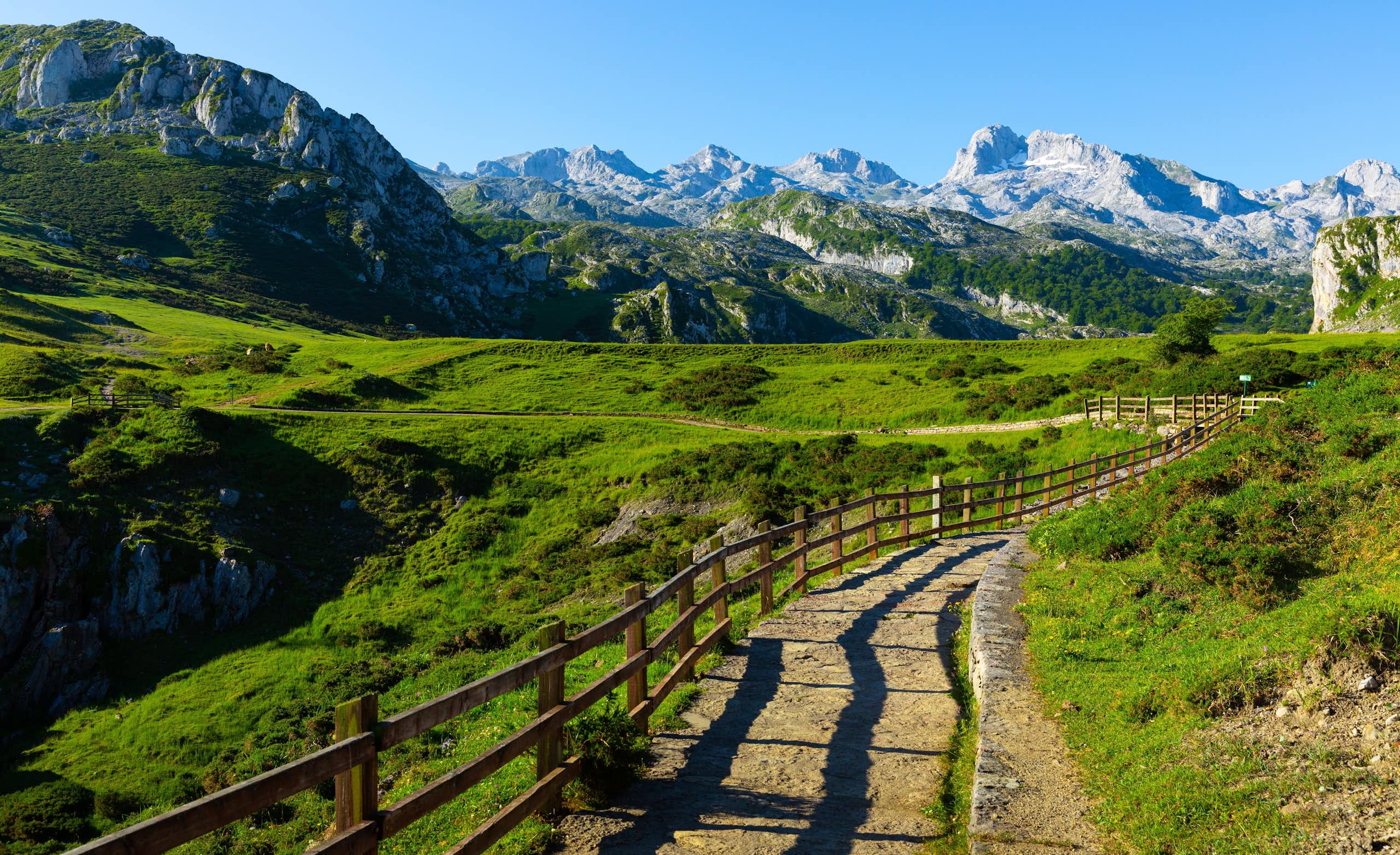 Paisaje verde con montañas.
