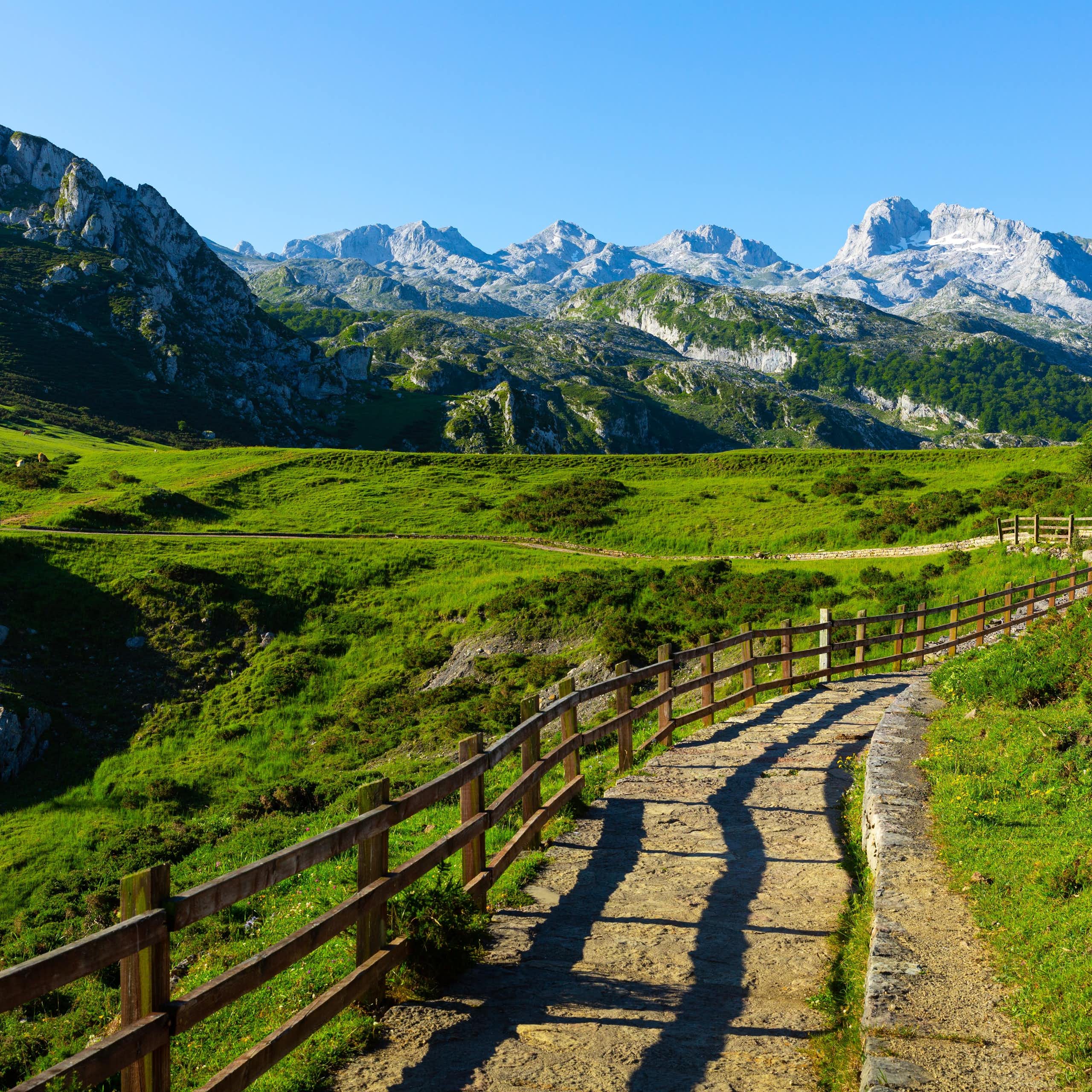 Paisaje verde con montañas.