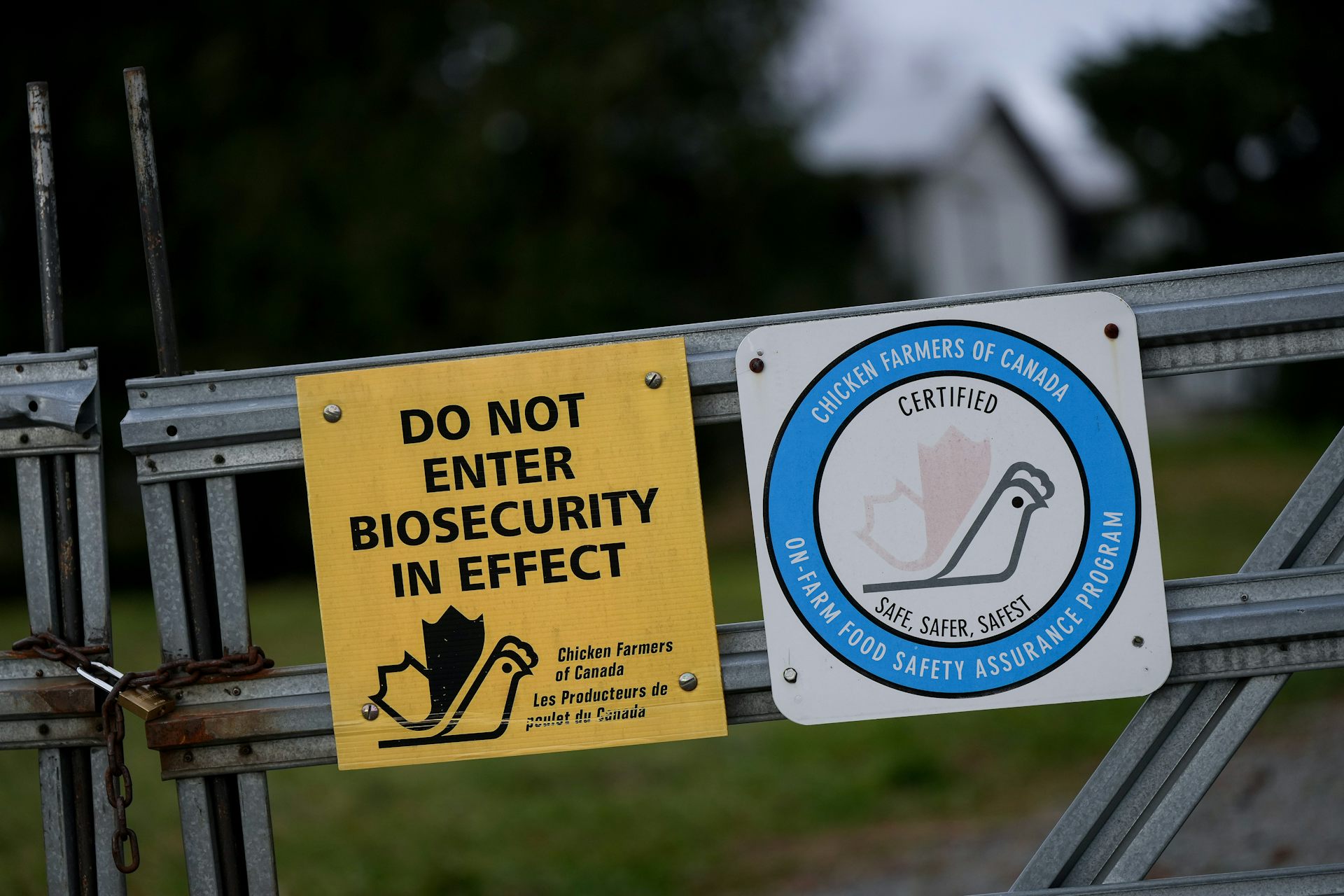 Predicting and Managing Avian Flu Outbreaks with Machine Learning