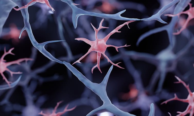 A digital drawing of a microglia cell in the brain.