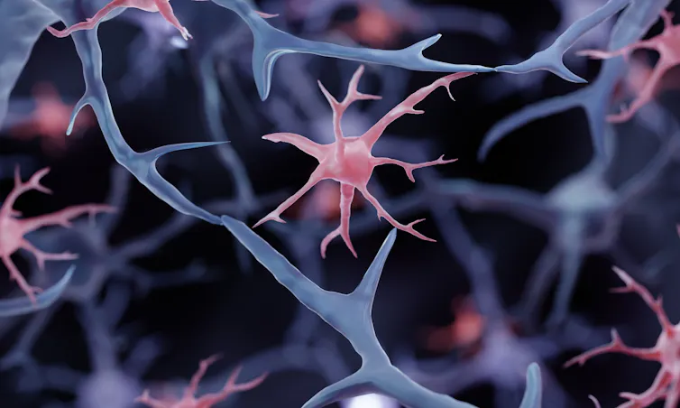 A digital drawing of a microglia cell in the brain.