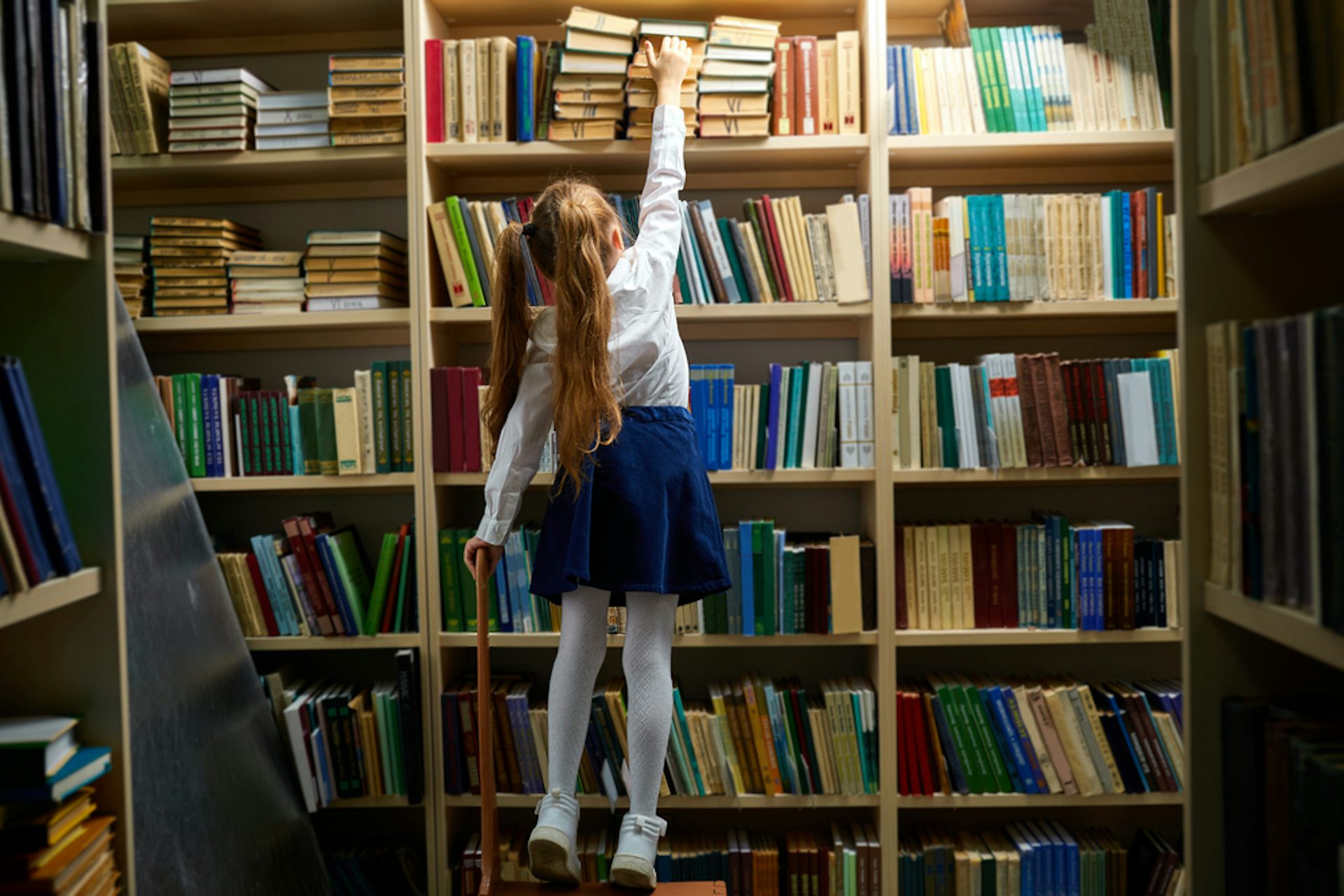 Une petite fille qui cherche un livre en bibliothèque