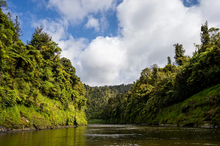 River flows through densely forested valley