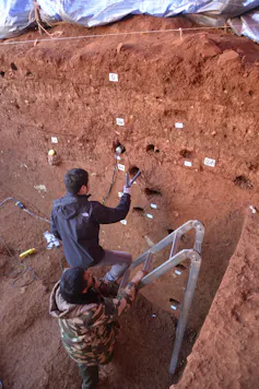 Two men with a ladder working at the face of a cross-section of dirt in an archaeological site
