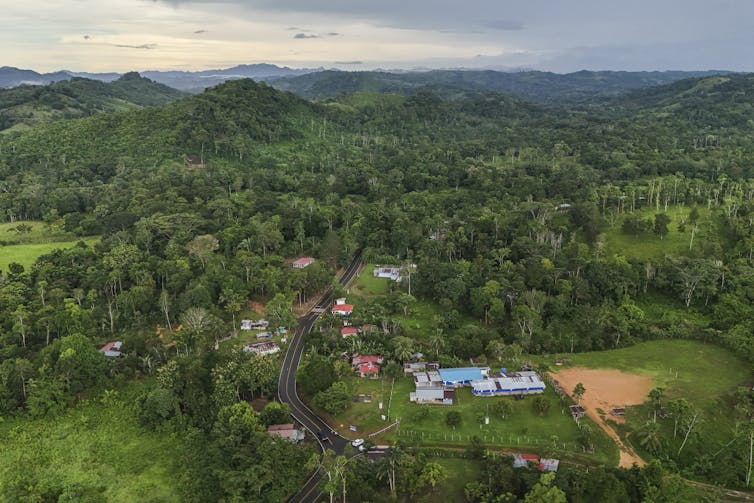Overhead view of a road surrounded by forest and fields.