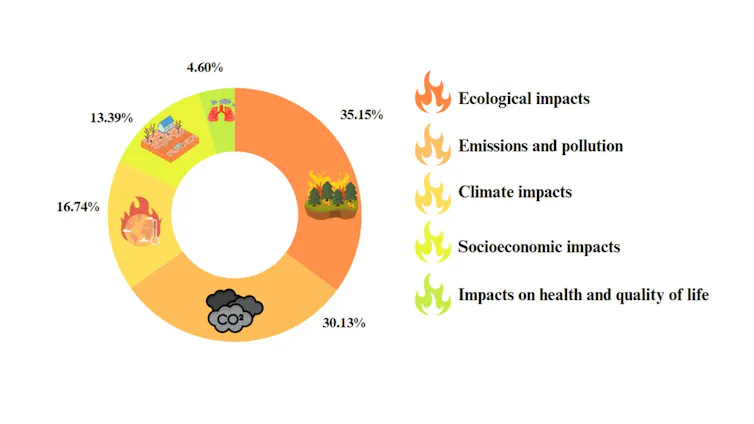 Gráfico mostra porcentagem de artigos dos 5 principais impactos do uso do fogo