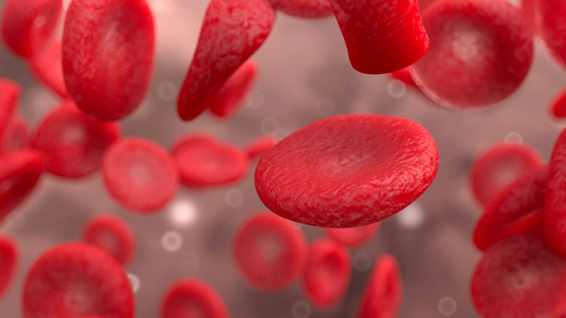 Red blood cells.