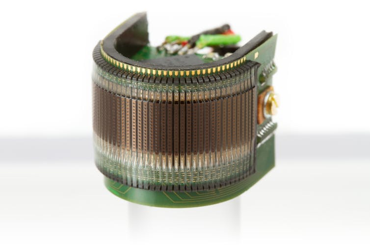 Draw inspiration from bugs to change into self reliant automobiles smarter 1 Electronic curve around