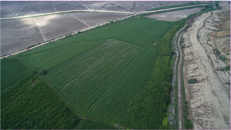 A view of a field with canals on two sides.
