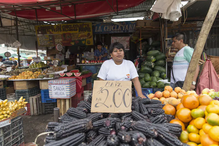 Uma pessoa fica atrás de uma mesa cheia de espigas de milho roxas em um mercado de agricultores.