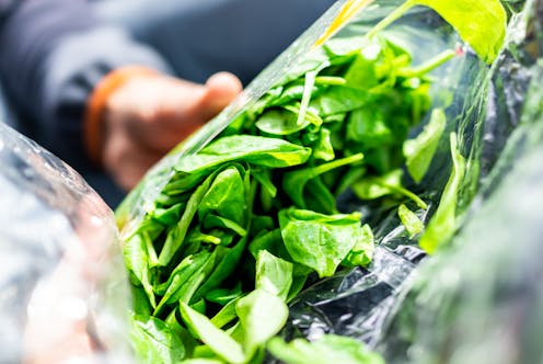 Why have supermarkets around Australia recalled bagged salad products? A gastroenterologist explains