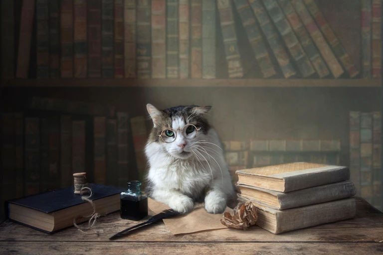Un gato rodeado de libros.
