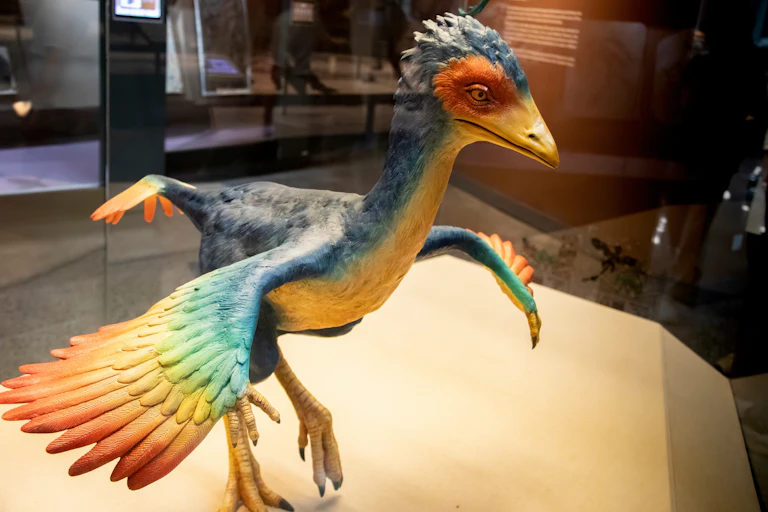 Large bird like prehistoric animal with claws