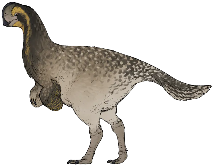 Drawing on dinosaur with small wing like forearms.