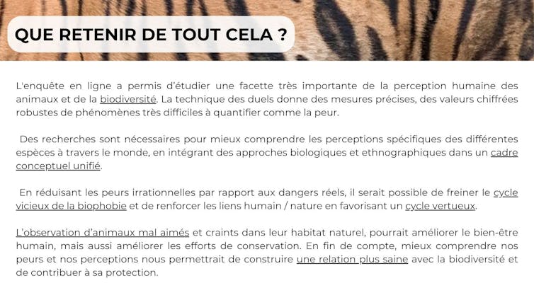 Snakes, Spiders ... The place do our fears from sure animals come from? 1 file 20250331 56 v47o3t.jpg?ixlib=rb 4.1