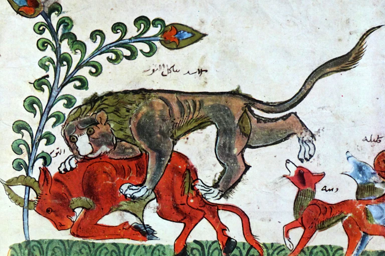 A sketch of a lion killing a bull.