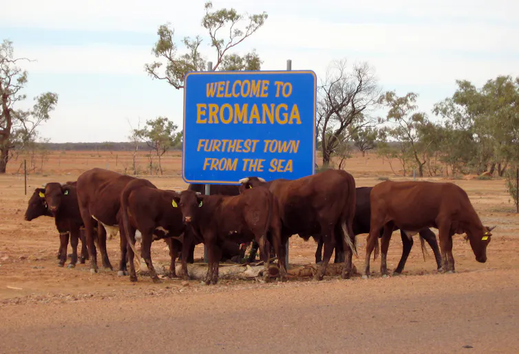 cattle around town welcome sign