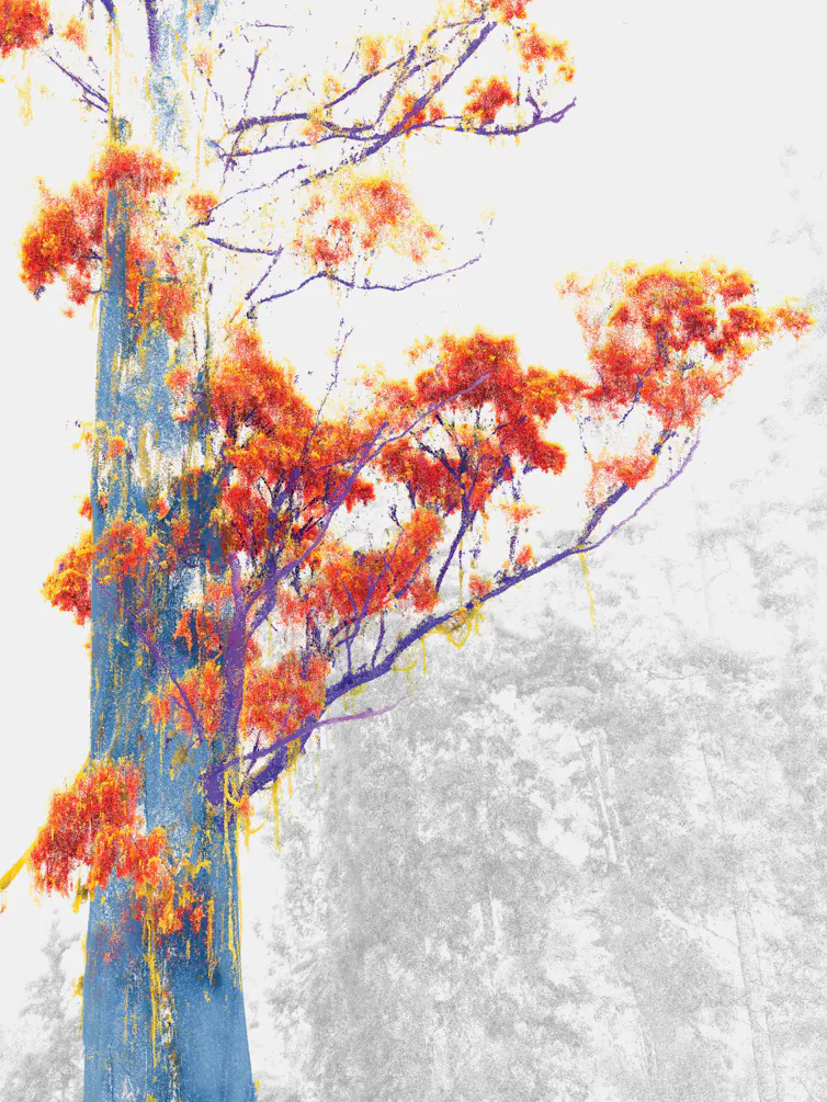 In this image of a tree trunk, artificial intelligence (AI) was used to identify objects at the branch scale. Blue = trunk, purple = branches, red = leaves, yellow = bark streamers, grey = surrounding vegetation.