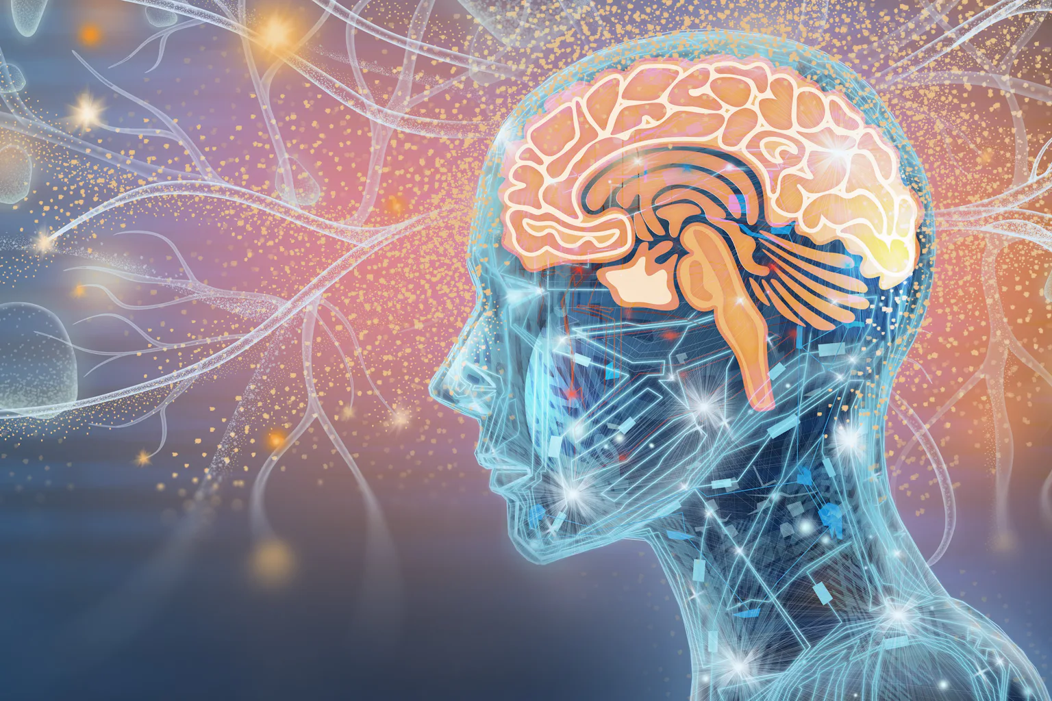 Can you upload a human mind into a computer? A neuroscientist ponders ...