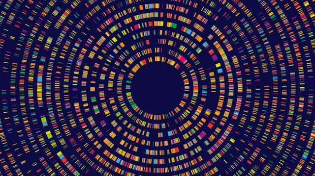 Genetric sequence map, resembilng expanding circles of colorful barcodes radiating from a black circle
