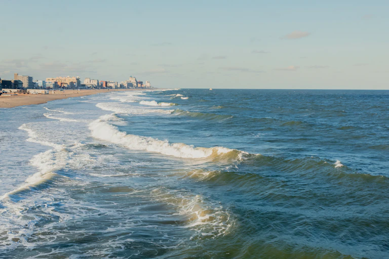 a shoreline with a city in the distance