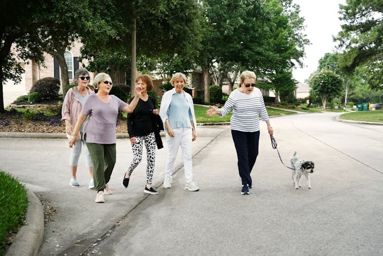 group of older women on a neighborhood walk with a leashed dog