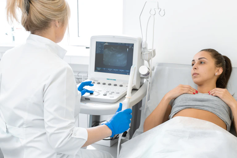 Person holds an ultrasound wand
