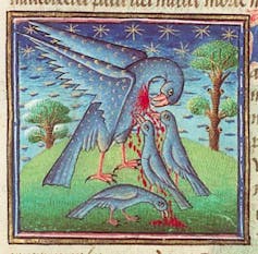 Pelican and Phoenix: Sufferer and Symbols of Resurrection within the Center Ages 1 Medieval manuscript lighting in which the legend of pelicans is seen.
